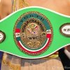 WBC 2010 - 06.11.2010  (148)